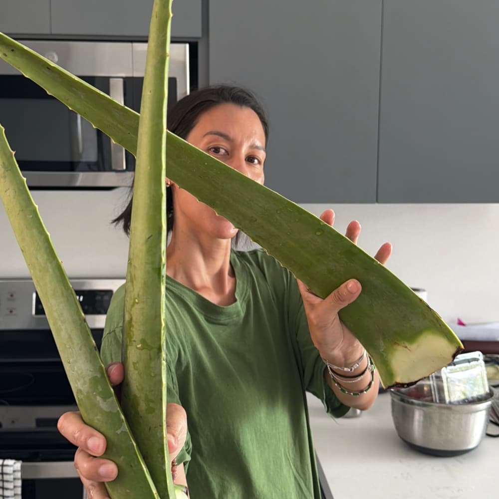Yep, I Make My Own Aloe Vera Juice. Here's Why, What Not To Do + My Recipe